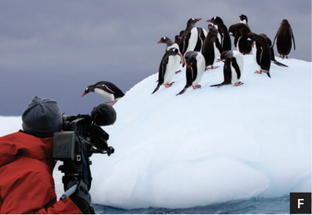 1.5 - Unit 1. Cultural interests - SBT Tiếng Anh 7 English Discovery 0 4