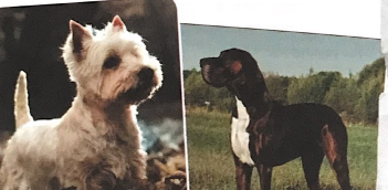 1. Cumulative Review 1 (Unit I-1) - Cumulative Review - SBT Tiếng Anh 12 Friends Global 1 1