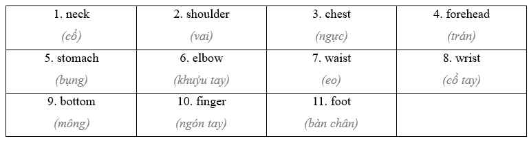 2.1. Vocabulary - Unit 2. Get well - SBT Tiếng Anh 11 English Discovery 0 2