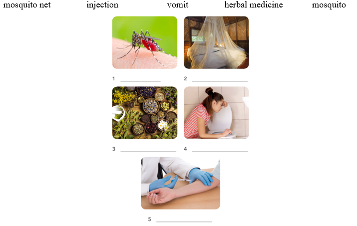 2.4. Reading - Unit 2. Get well - SBT Tiếng Anh 11 English Discovery 1 1