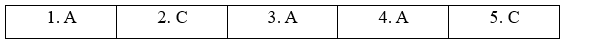 2b. Grammar - Unit 2. Vietnam and ASEAN - SBT Tiếng Anh 11 Bright 2 1
