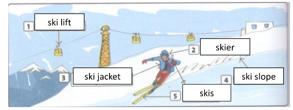 2E - Unit 2. Adventure - SBT Tiếng Anh 10 Friends Global 3 2