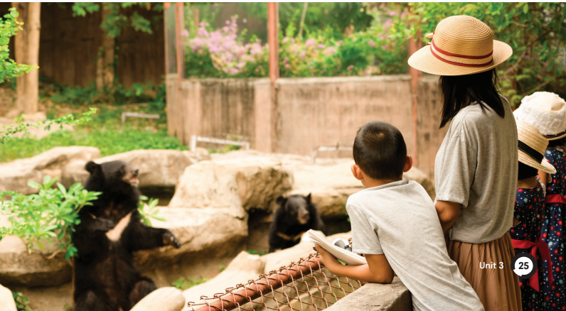 3.1 - Unit 3. Animals' magic - SBT Tiếng Anh 7 English Discovery 4 3