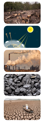 3.1. Vocabulary - Unit 3. Global warming - SBT Tiếng Anh 11 English Discovery 0 1