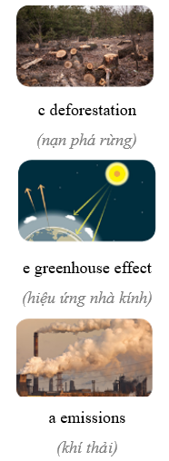 3.1. Vocabulary - Unit 3. Global warming - SBT Tiếng Anh 11 English Discovery 0 2