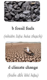 3.1. Vocabulary - Unit 3. Global warming - SBT Tiếng Anh 11 English Discovery 0 3