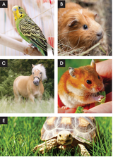 3.2. Grammar - Unit 3. Every day - SBT Tiếng Anh 6 – English Discovery (Cánh Buồm) 0 1