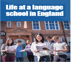 3.3. Reading and Vocabulary - Unit 3. Every day - SBT Tiếng Anh 6 – English Discovery (Cánh Buồm) 1 1