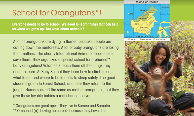 3.3 - Unit 3. Animals' magic - SBT Tiếng Anh 7 English Discovery 1 1