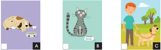 3.5 - Unit 3. Animals' magic - SBT Tiếng Anh 7 English Discovery 1 1