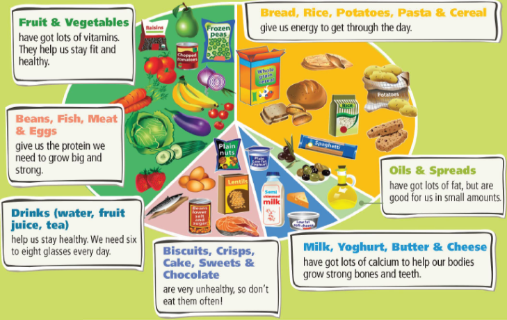 3. CLIL (Food technology) - Unit 3 - Tiếng Anh 6 - Right on! 0 1