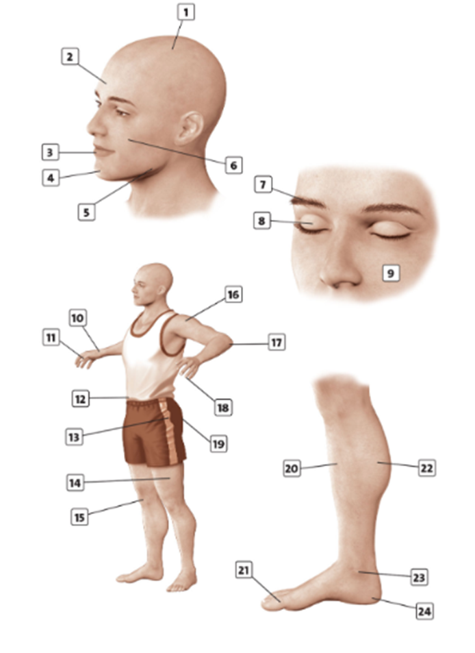 3A. Vocabulary - Unit 3. Sustainbal health - SBT Tiếng Anh 11 Friends Global 0 2