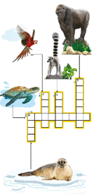3c. Vocabulary - Unit 3. The Environment - SBT Tiếng Anh 8 Right on! 3 1