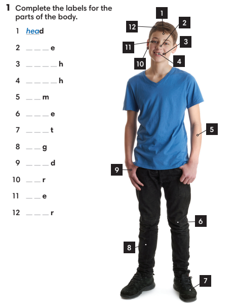 4.1 - Unit 4. Health and fitness - SBT Tiếng Anh 7 English Discovery 0 1