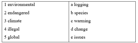 4.4 Reading - Unit 4. Planet Earth - SBT Tiếng Anh 11 English Discovery 0 1