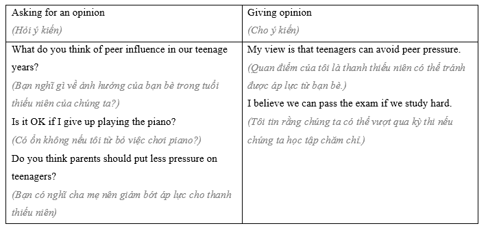 4.6 - Unit 4. A teenager's life - SBT Tiếng Anh 8 English Discovery 2 1