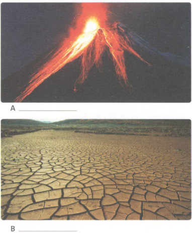 4C - Unit 4. Our planet - SBT Tiếng Anh 10 Friends Global 1 1