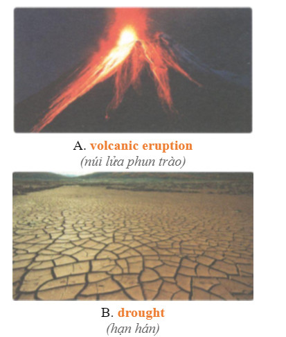 4C - Unit 4. Our planet - SBT Tiếng Anh 10 Friends Global 1 2