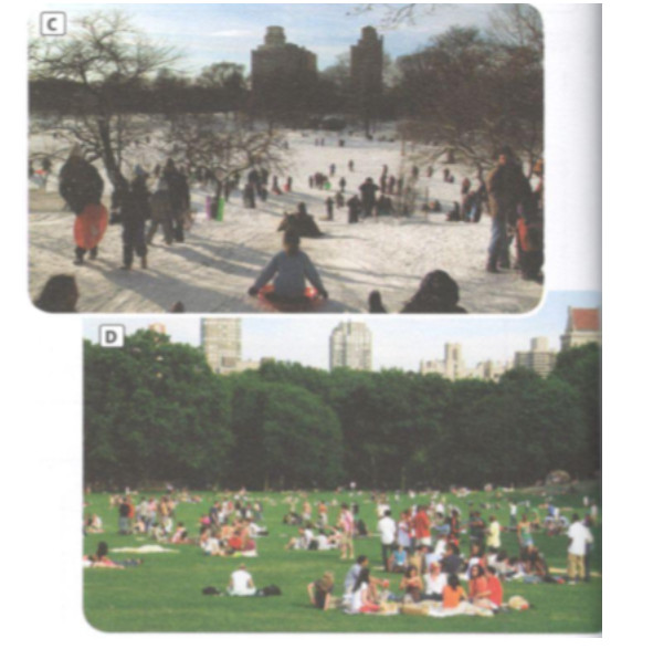 4G - Unit 4. Our planet - SBT Tiếng Anh 10 Friends Global 2 1