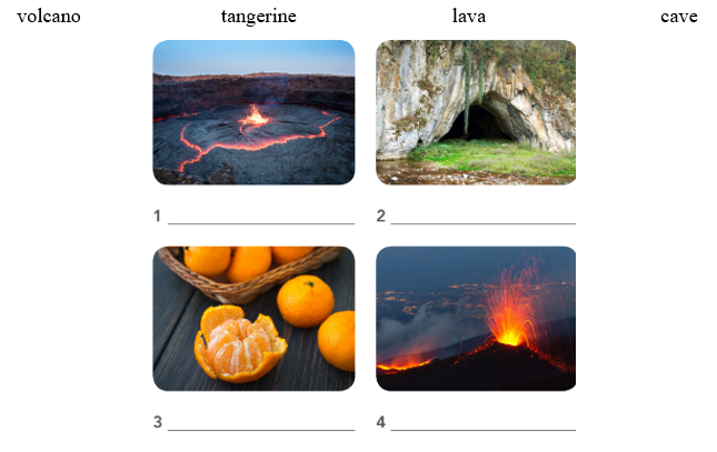 5.3. Listening - Unit 5. Heritages site - SBT Tiếng Anh 11 English Discovery 0 1