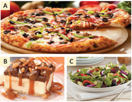 5.6 - Unit 5. Food and drink - SBT Tiếng Anh 7 English Discovery 0 1