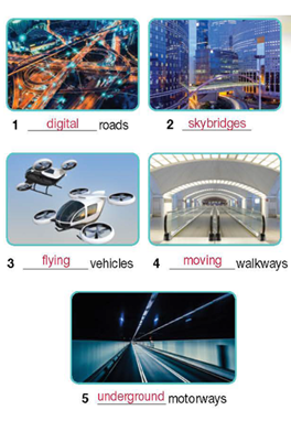 5a. Reading - Unit 5. Cities and education in the future - SBT Tiếng Anh 11 Bright 0 2