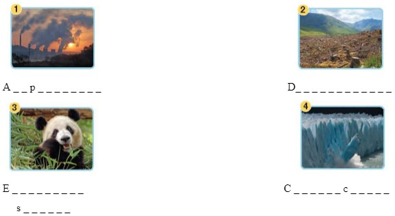 5a. Reading - Unit 5. The environment - SBT Tiếng Anh 10 Bright 0 1