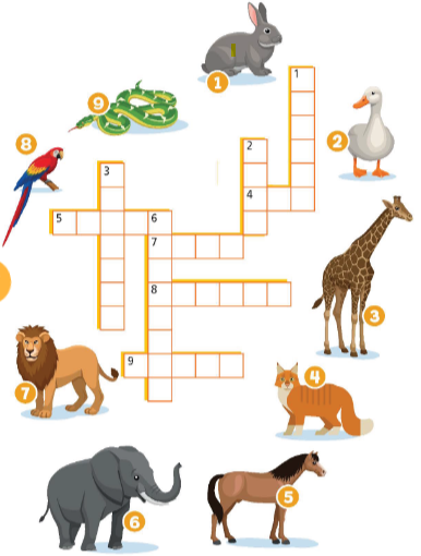 5c. Vocabulary – Unit 5. London was great – SBT Tiếng Anh 6 – Right on! 0 1