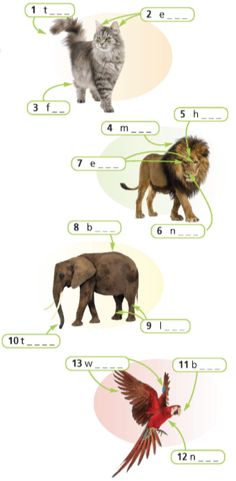 5c. Vocabulary – Unit 5. London was great – SBT Tiếng Anh 6 – Right on! 1 1
