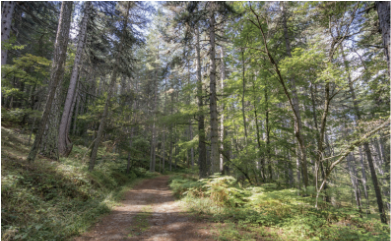 6.4 - Unit 6. Schools - SBT Tiếng Anh 7 English Discovery 2 1