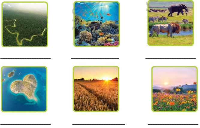 6a. Reading - Unit 6. Eco-tourism - SBT Tiếng Anh 10 Bright 4 1