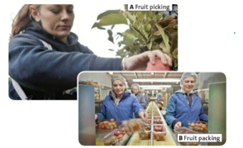 6G. Speaking - Unit 6. Hi-flyers - SBT Tiếng Anh 11 Friends Global 0 1