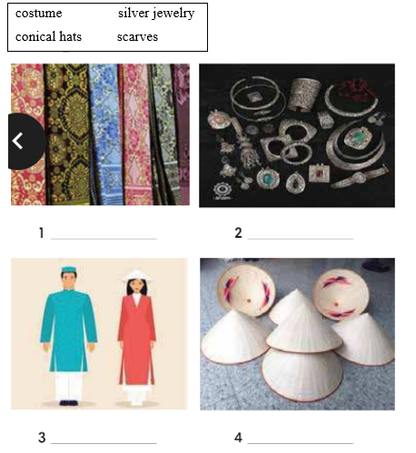 7.4 - Unit 7. Ethnic groups in Việt Nam - SBT Tiếng Anh 8 English Discovery 0 1