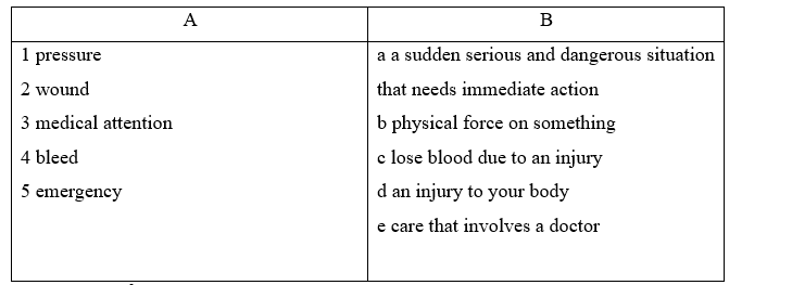 7.8. Speaking - Unit 7. Independent living - SBT Tiếng Anh 11 English Discovery 0 1