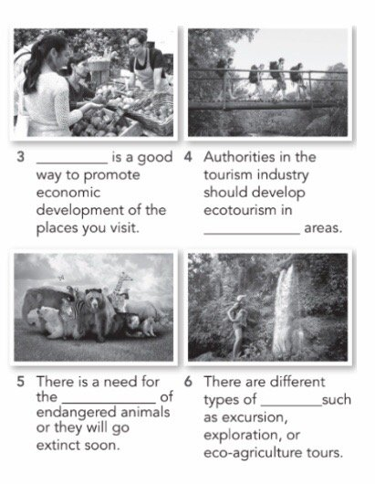 8.1 Vocabulary - Unit 8. Ecotourism - SBT Tiếng Anh 10 English Discovery 0 2