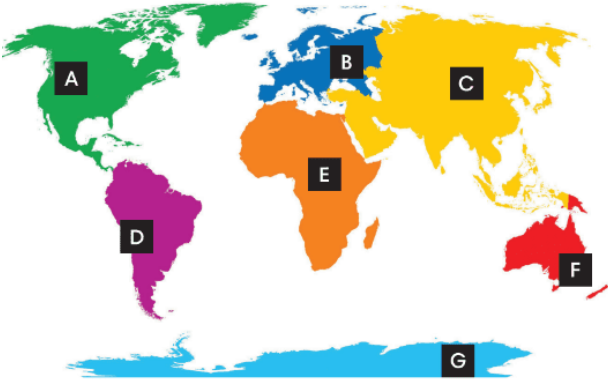 8.1. Vocabulary - Unit 8. Talking to the world - SBT Tiếng Anh 6 – English Discovery (Cánh Buồm) 2 1