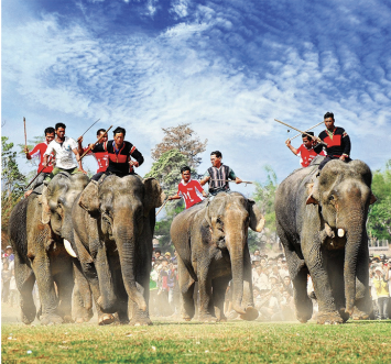 8.2 - Unit 8. Festivals around the world - SBT Tiếng Anh 7 English Discovery 3 2