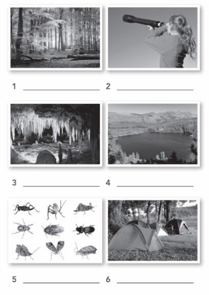 8.3 Listening - Unit 8. Ecotourism - SBT Tiếng Anh 10 English Discovery 0 1