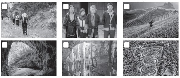 8.4. Reading - Unit 8. Ecotourism - SBT Tiếng Anh 10 English Discovery 0 1