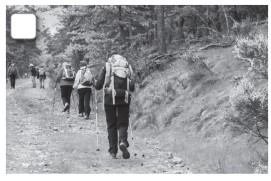 8.4. Reading - Unit 8. Ecotourism - SBT Tiếng Anh 10 English Discovery 0 2