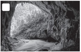 8.4. Reading - Unit 8. Ecotourism - SBT Tiếng Anh 10 English Discovery 0 3