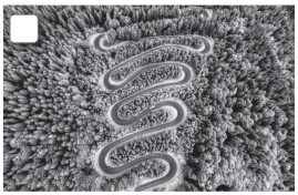 8.4. Reading - Unit 8. Ecotourism - SBT Tiếng Anh 10 English Discovery 0 4