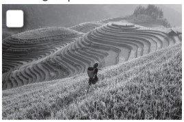 8.4. Reading - Unit 8. Ecotourism - SBT Tiếng Anh 10 English Discovery 0 5