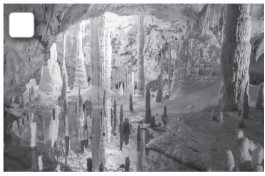 8.4. Reading - Unit 8. Ecotourism - SBT Tiếng Anh 10 English Discovery 0 6