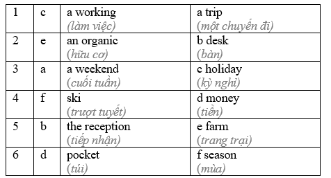8.5 - Unit 8. Travel and Holiday - SBT Tiếng Anh 8 English Discovery 4 1