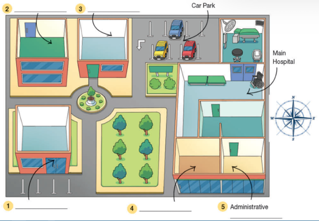 8c. Listening - Unit 8. Healthy and Life expectancy - SBT Tiếng Anh 11 Bright 0 1