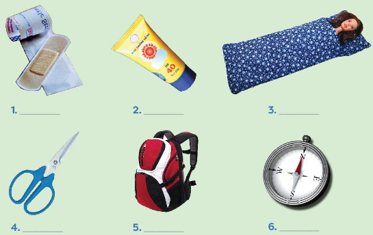 A Closer Look 1 – Unit 5. Natural Wonders of Viet Nam - Tiếng Anh 6 – Global Success 0 1