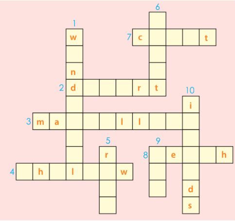 B. Vocabulary and Grammar Unit 5 SBT Tiếng Anh 6 - Global Success (Kết nối tri thức) 2 1