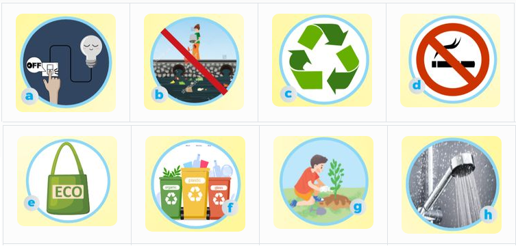 B. Vocabulary & Grammar - Unit 11. Our Greener World - SBT Tiếng Anh 6 - Global Success (Kết nối tri thức) 1 1