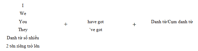 Cấu trúc Have got/Has got chỉ sự sở hữu - Luyện thi Starters theo chủ đề ngữ pháp 1